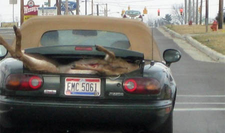 rudolph_the_red-nosed_reindeer_mazda_mx-5.jpg