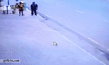 15.gif